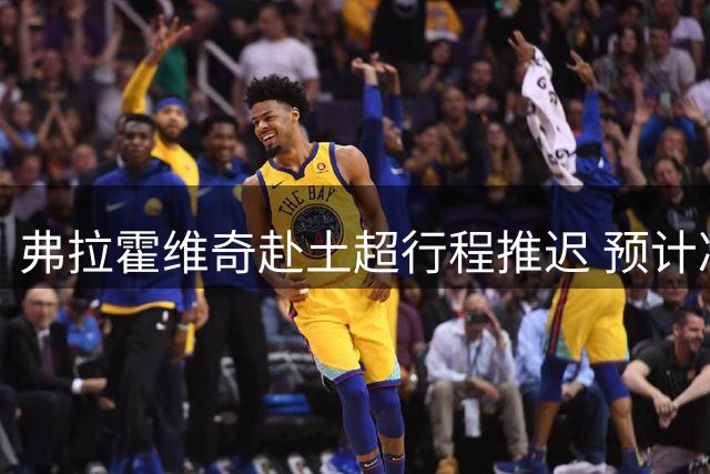 弗拉霍维奇赴土超行程推迟 预计凌晨抵伊斯坦布尔
