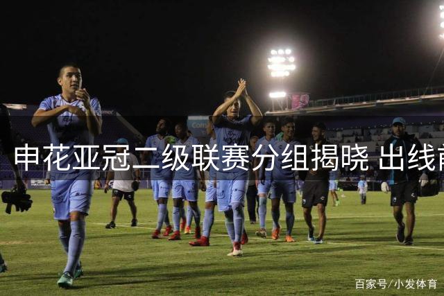 申花亚冠二级联赛分组揭晓 出线前景获业内看好